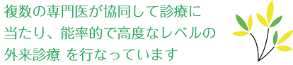 当診療所では一般総合外来と専門外来の併設により能率的で高度なレベルの外来診療を行なっています。